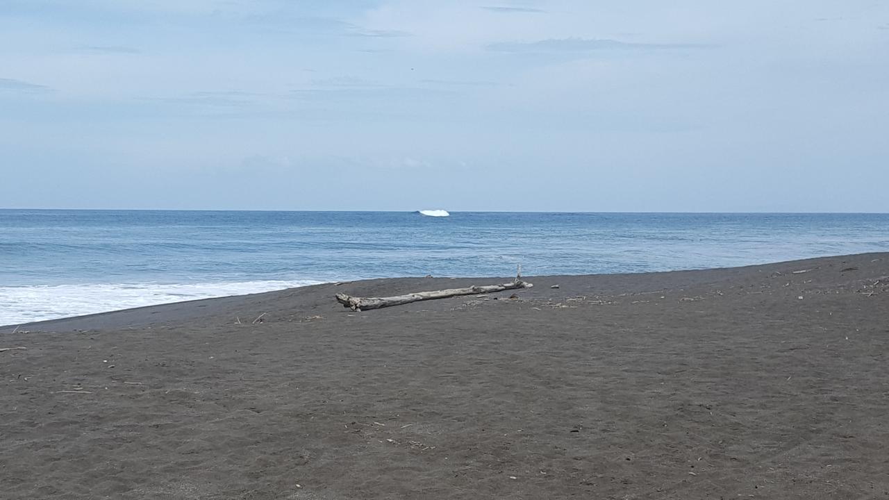 Hotel Sandpiper Jaco Exterior photo