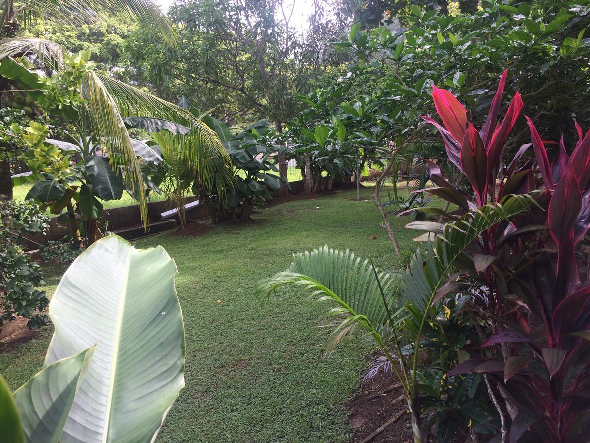 Hotel Sandpiper Jaco Exterior photo